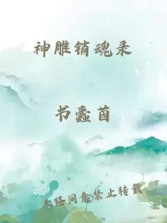 神雕銷(xiāo)魂錄