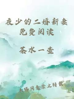 夜少的二婚新妻免費閱讀