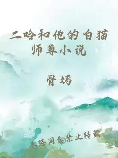 二哈和他的白貓師尊小說(shuō)