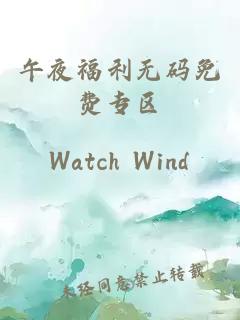 午夜福利無(wú)碼免費專(zhuān)區