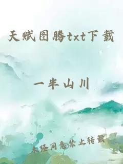 天賦圖騰txt下載