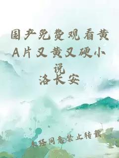 國產(chǎn)免費觀(guān)看黃A片又黃又硬小說(shuō)