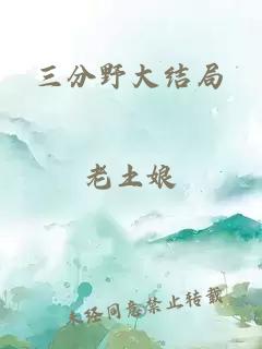 三分野大結局