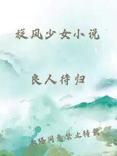 旋風(fēng)少女小說(shuō)