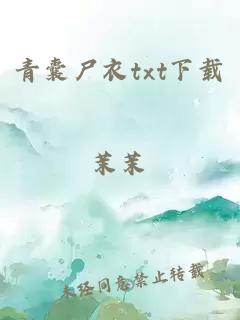 青囊尸衣txt下載