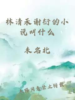 林清禾謝衍的小說(shuō)叫什么