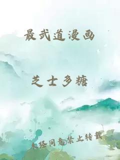 最武道漫畫(huà)