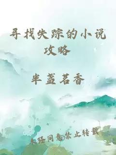 尋找失蹤的小說(shuō)攻略