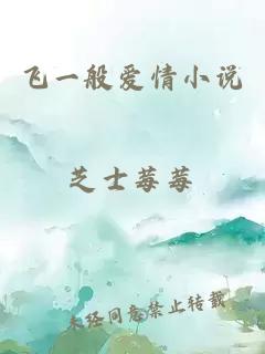 飛一般愛(ài)情小說(shuō)