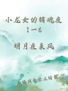 小龍女的銷(xiāo)魂夜1一6