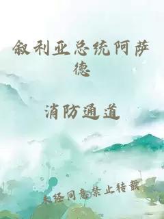 敘利亞總統阿薩德
