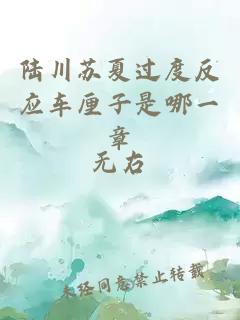 陸川蘇夏過(guò)度反應車(chē)厘子是哪一章