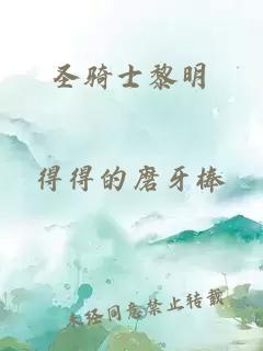 圣騎士黎明