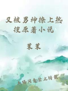 又被男神撩上熱搜原著(zhù)小說(shuō)