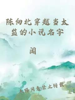 陳向北穿越當太監的小說(shuō)名字