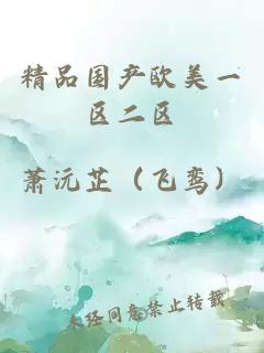 精品國產(chǎn)歐美一區二區