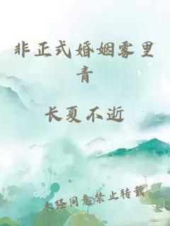 非正式婚姻霧里青