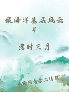 侯海洋基層風(fēng)云4