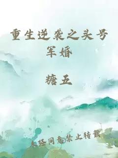 重生逆襲之頭號軍婚