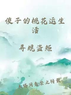 傻子的桃花運生活