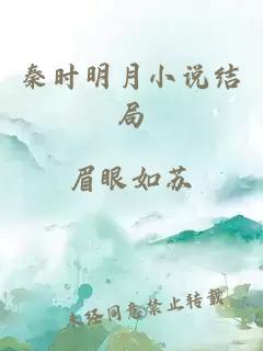 秦時(shí)明月小說(shuō)結局