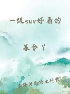一級suv好看的