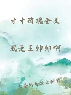 寸寸銷(xiāo)魂全文