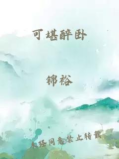 可堪醉臥