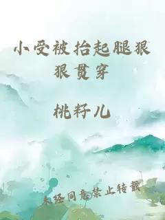 小受被抬起腿狠狠貫穿