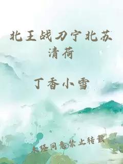 北王戰刀寧北蘇清荷