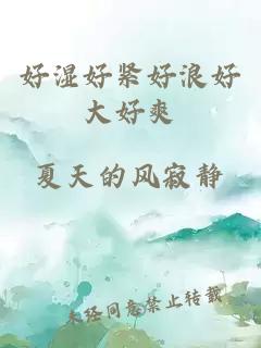 好濕好緊好浪好大好爽