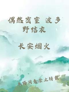 偶然密室 波多野結衣