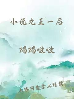 小說(shuō)九王一后