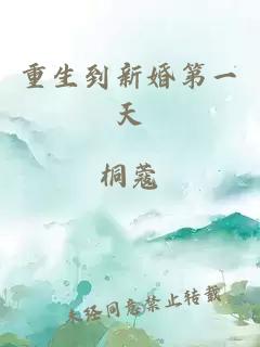 重生到新婚第一天