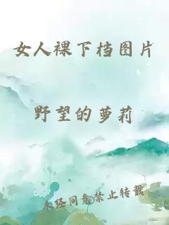 女人裸下檔圖片