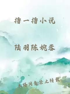 擼一擼小說(shuō)