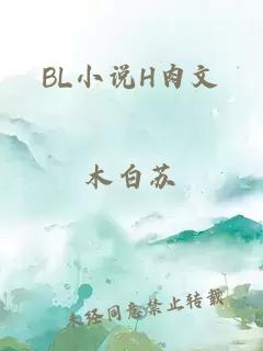 BL小說(shuō)H肉文