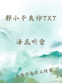 那小子真帥TXT