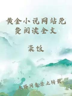 黃金小說(shuō)網(wǎng)站免費閱讀全文