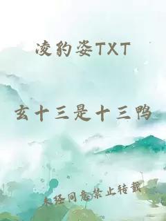 凌豹姿TXT