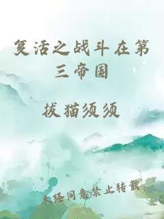 復活之戰斗在第三帝國