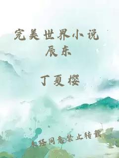 完美世界小說(shuō) 辰東