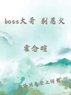 boss大哥 別惹火