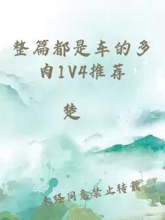整篇都是車(chē)的多肉1V4推薦