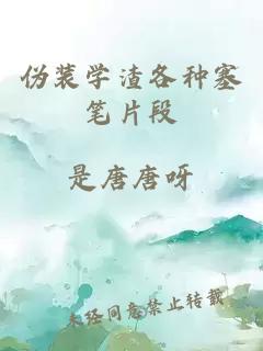 偽裝學(xué)渣各種塞筆片段