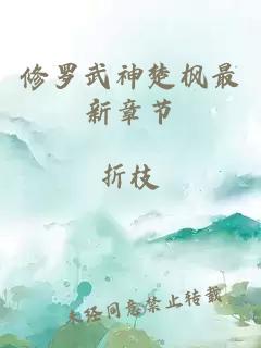 修羅武神楚楓最新章節