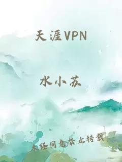 天涯VPN