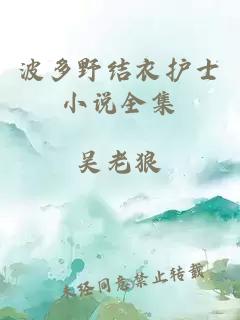 波多野結衣護士小說(shuō)全集