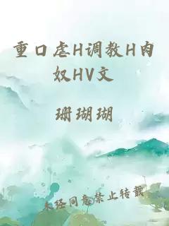 重口虐H調教H肉奴HV文