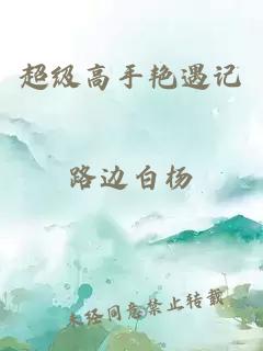 超級高手艷遇記